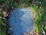 image of grave number 757862
